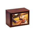 Companion Photo Urn